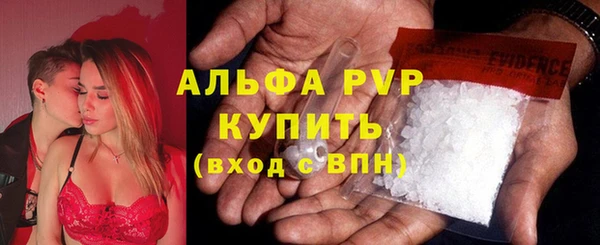 гашик Карпинск