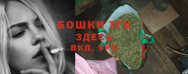 прущие грибы Карталы