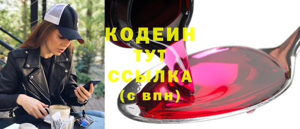 гашик Карпинск