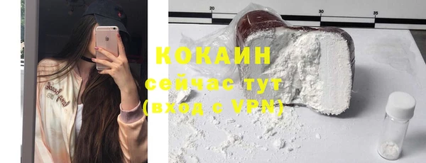 прущие грибы Карталы