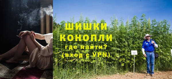 прущие грибы Карталы