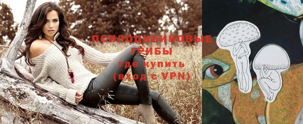 МДМА Козловка