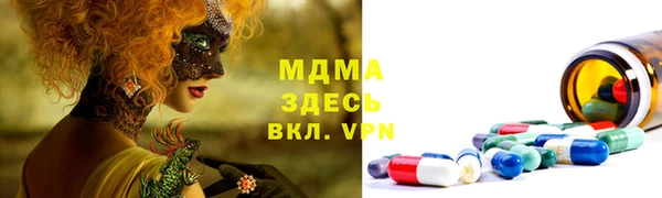 гашик Карпинск