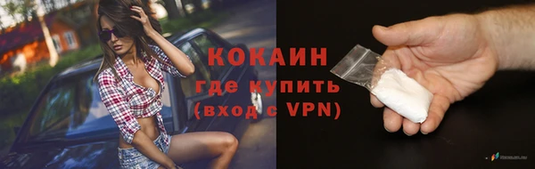 гашик Карпинск