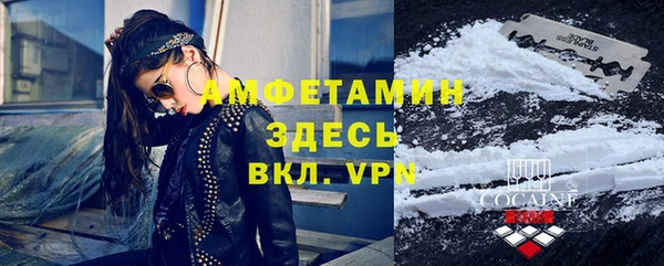 гашик Карпинск