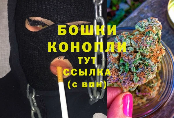 Альфа ПВП Каменка