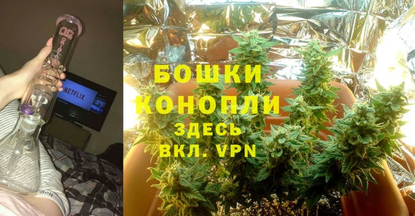 гашик Карпинск
