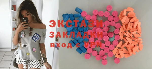 гашик Карпинск